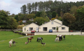 Muckross Riding Stables